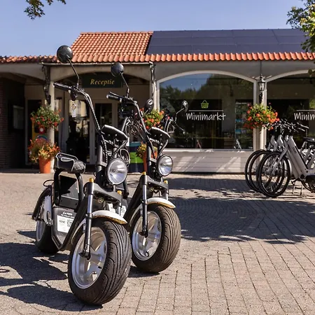 In Netherlands Near Eindhoven Ferienhaus