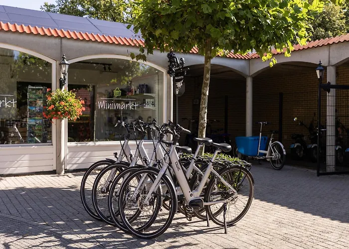Ferienhaus In Netherlands Near Eindhoven